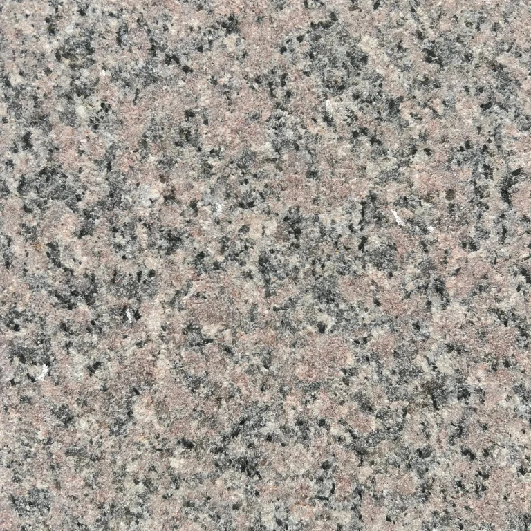 Rosa Hudi sand blast 8.webp