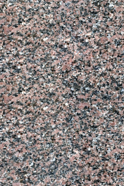 rosa hudi.png